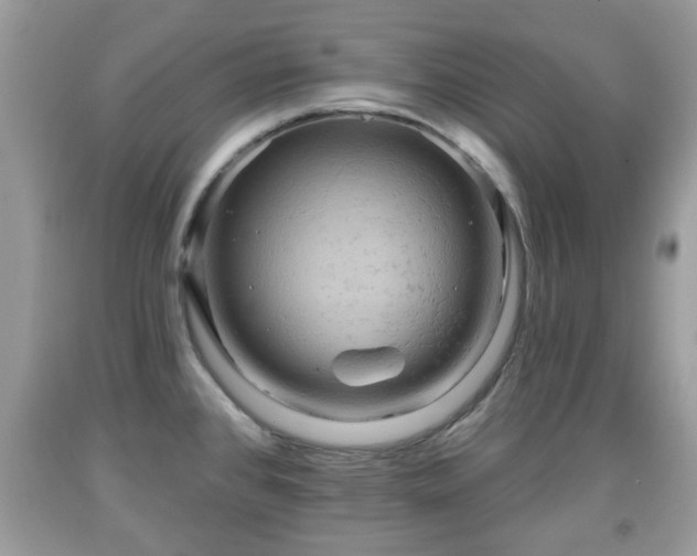 X0000091951384200709131155