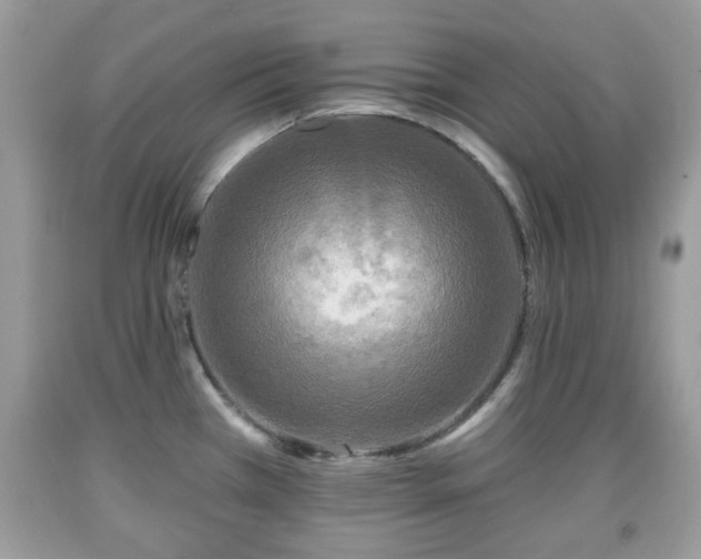 X0000091951385200709131155