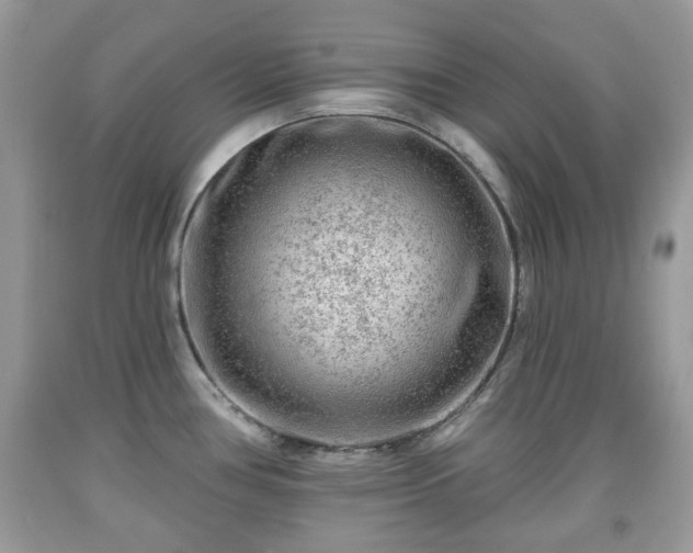 X0000091951386200709131155