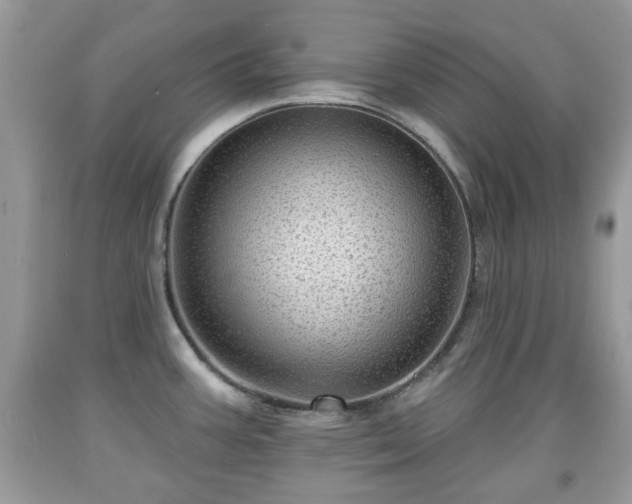 X0000091951387200709131155