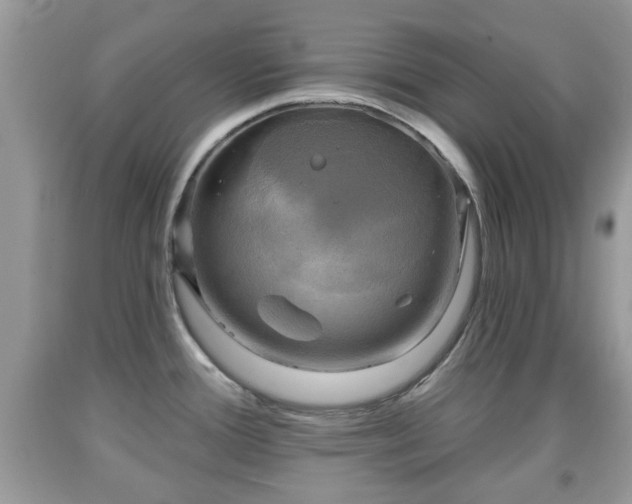 X0000091951388200709131155