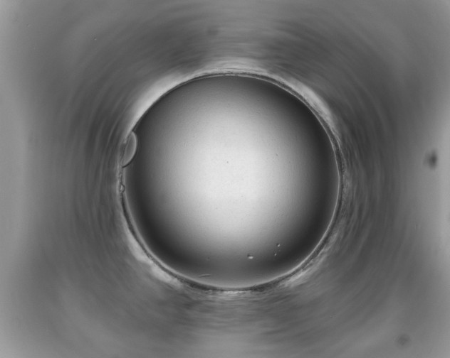 X0000091951390200709131155