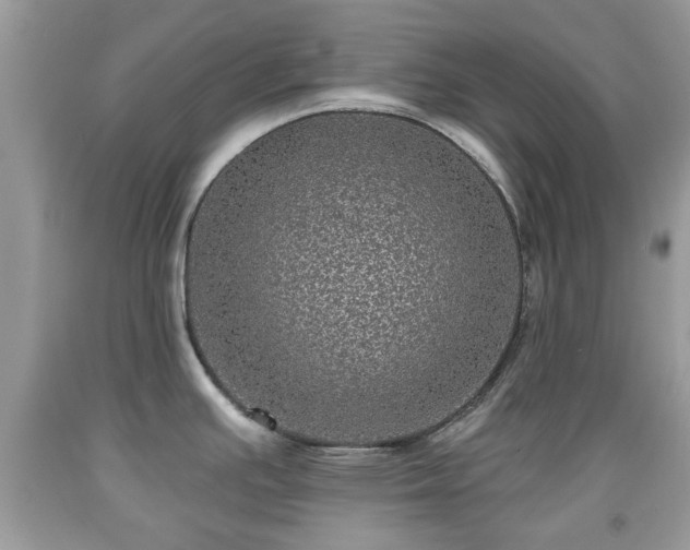 X0000091951391200709131155