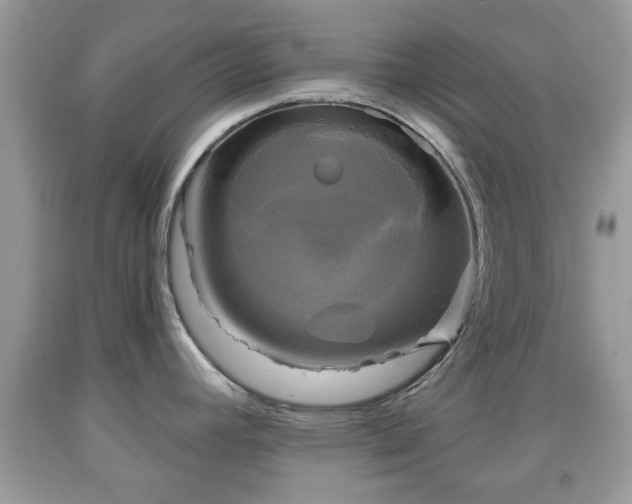 X0000091951392200709131155