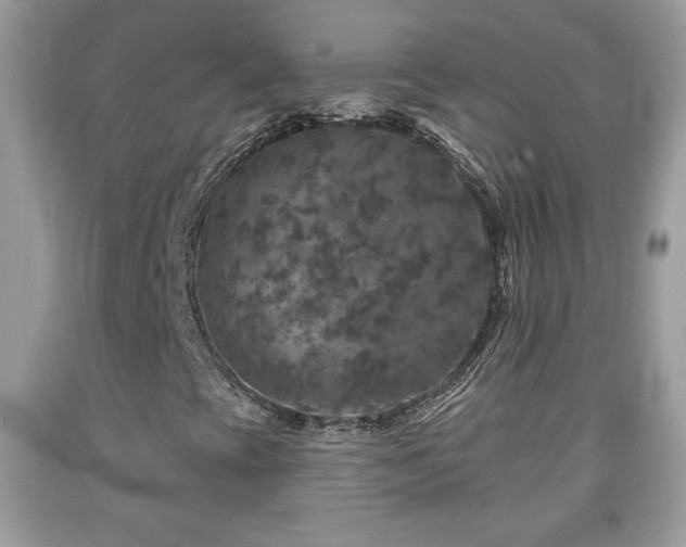X0000091951393200709131154