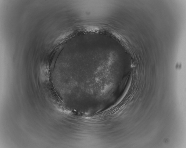 X0000091951394200709131154