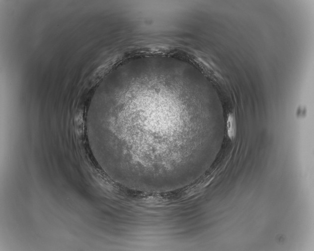 X0000091951395200709131154