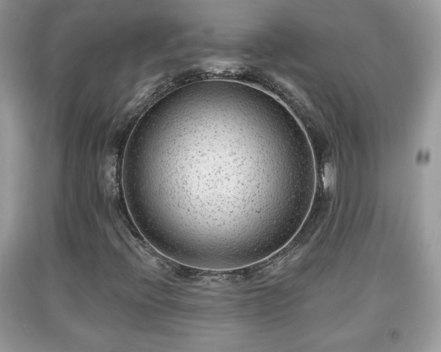 X0000091951396200709131154