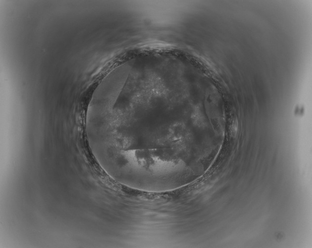 X0000091951397200709131154