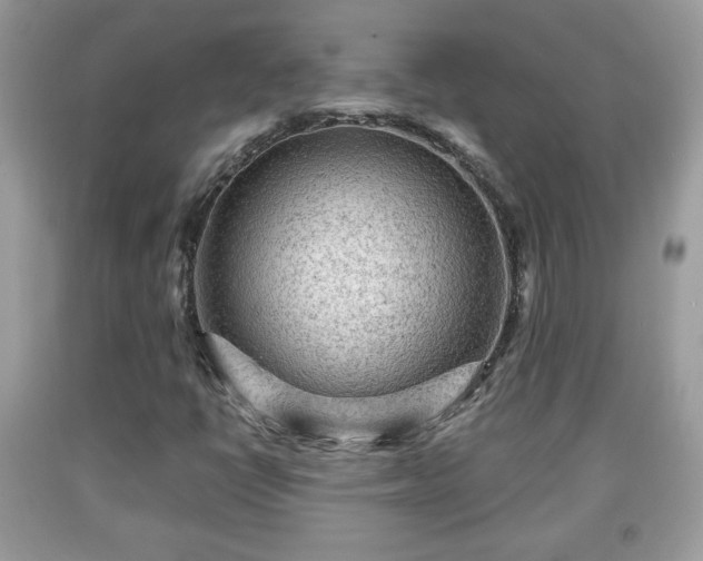 X0000091951398200709131154