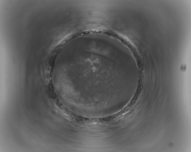 X0000091951399200709131154