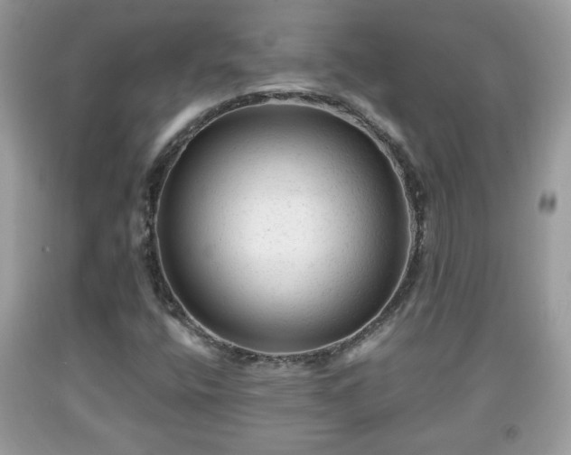 X0000091951400200709131154