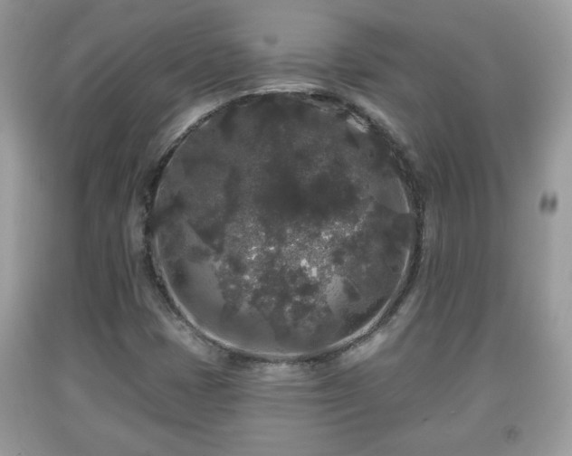 X0000091951401200709131154
