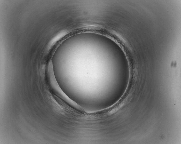 X0000091951402200709131154