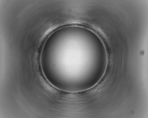 X0000091951404200709131154