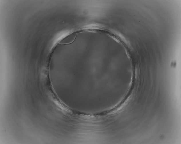 X0000091951405200709131154