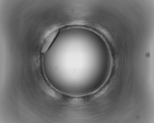 X0000091951406200709131154