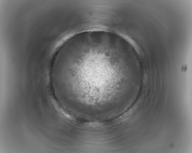X0000091951407200709131154
