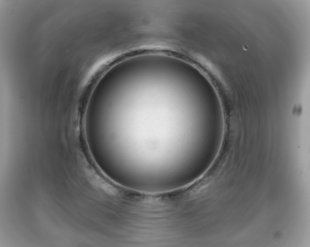 X0000091951408200709131154