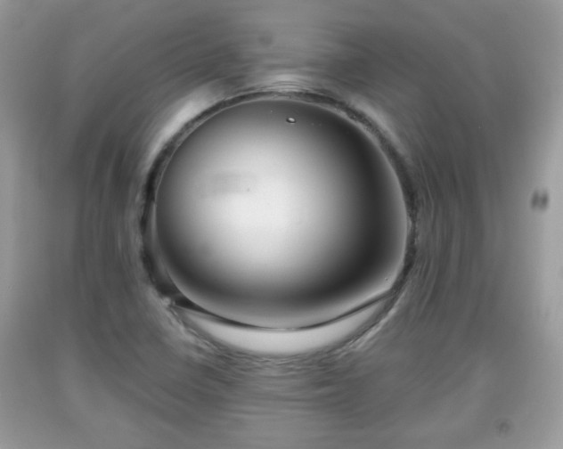 X0000091951410200709131154