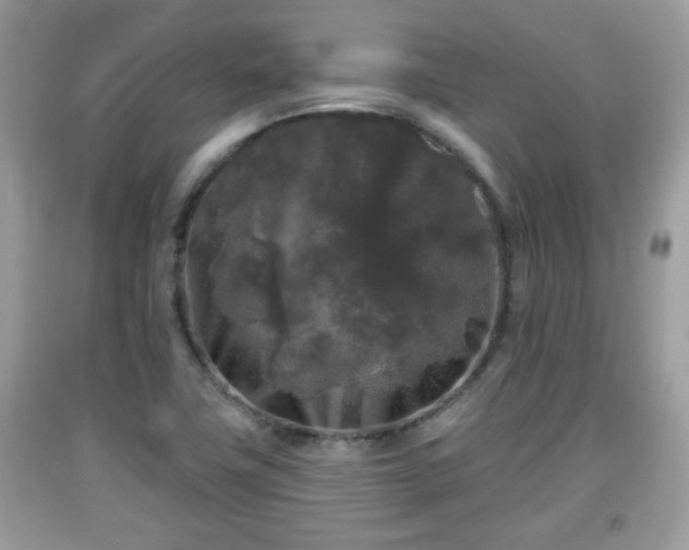 X0000091951411200709131154