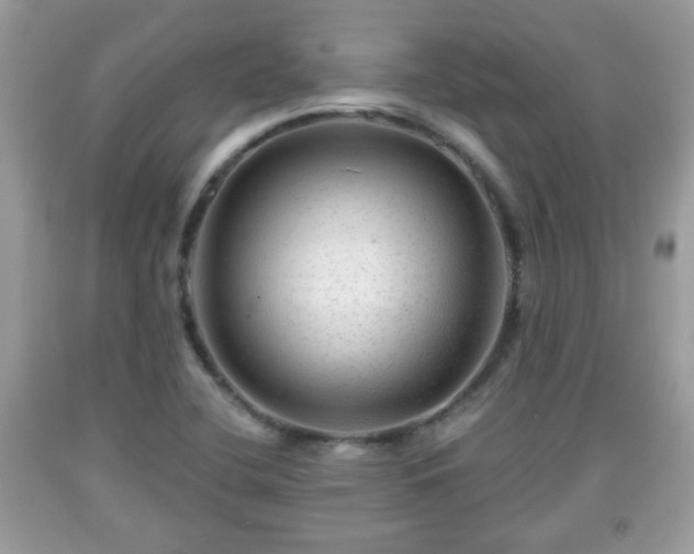 X0000091951412200709131154