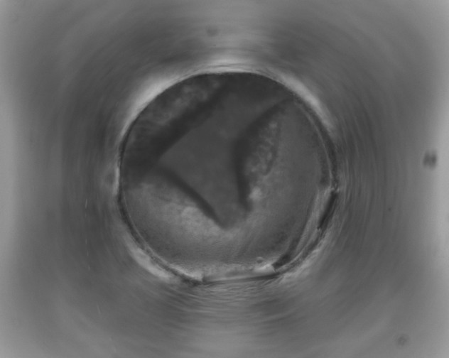 X0000091951413200709131154