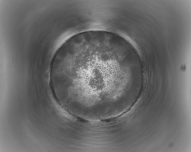 X0000091951415200709131154