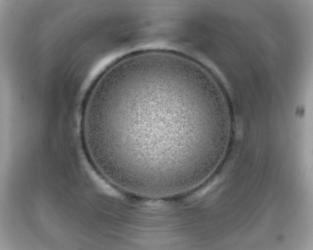 X0000091951416200709131154