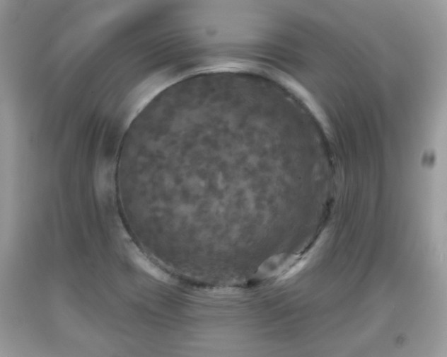 X0000091951417200709131154