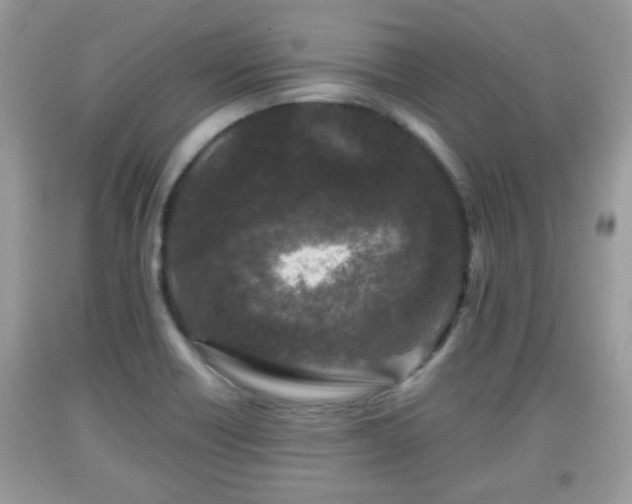 X0000091951418200709131154