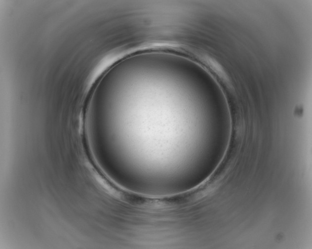 X0000091951420200709131154