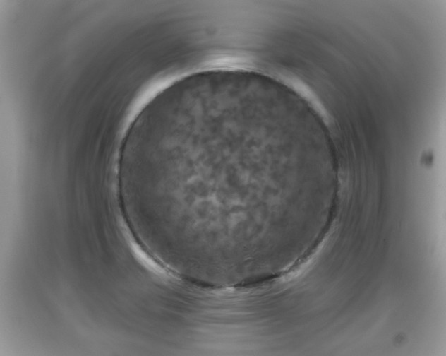 X0000091951421200709131154