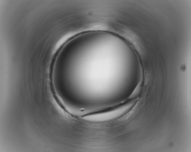 X0000091951422200709131154