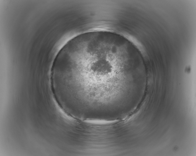 X0000091951423200709131154