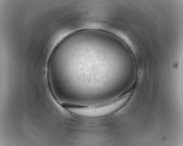 X0000091951424200709131154