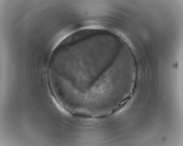 X0000091951425200709131154