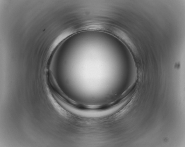X0000091951426200709131154