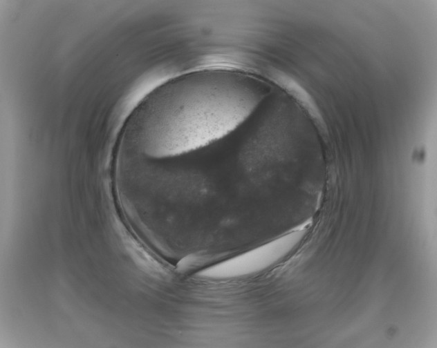 X0000091951427200709131154