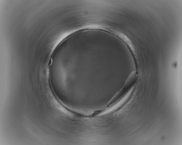 X0000091951428200709131154