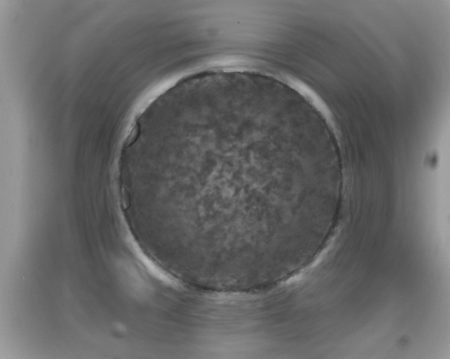 X0000091951429200709131154
