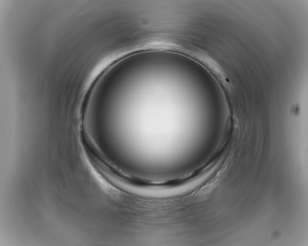 X0000091951430200709131154