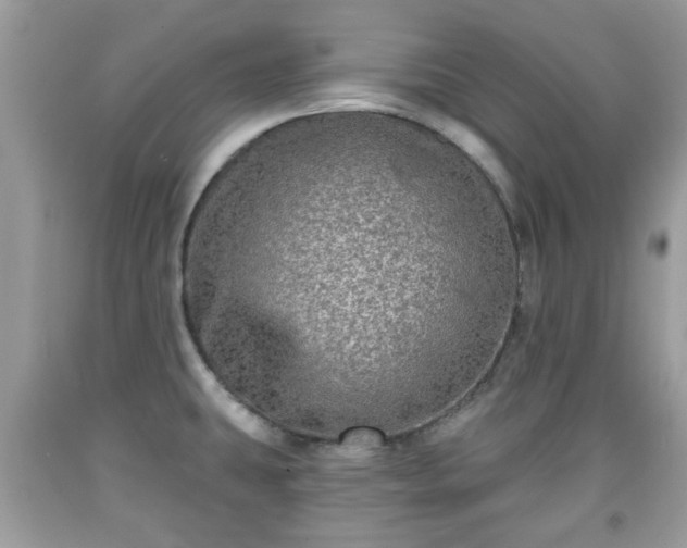 X0000091951431200709131154