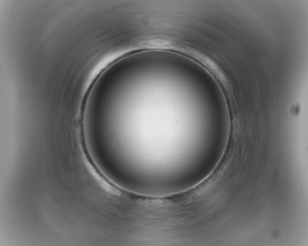 X0000091951432200709131154