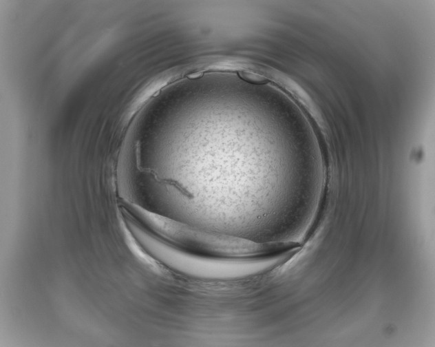 X0000091951433200709131154