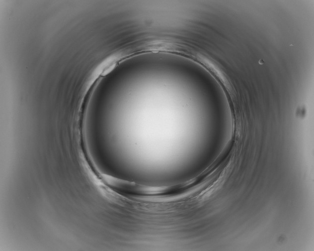 X0000091951434200709131154