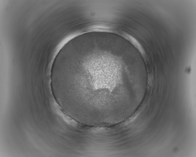 X0000091951435200709131154