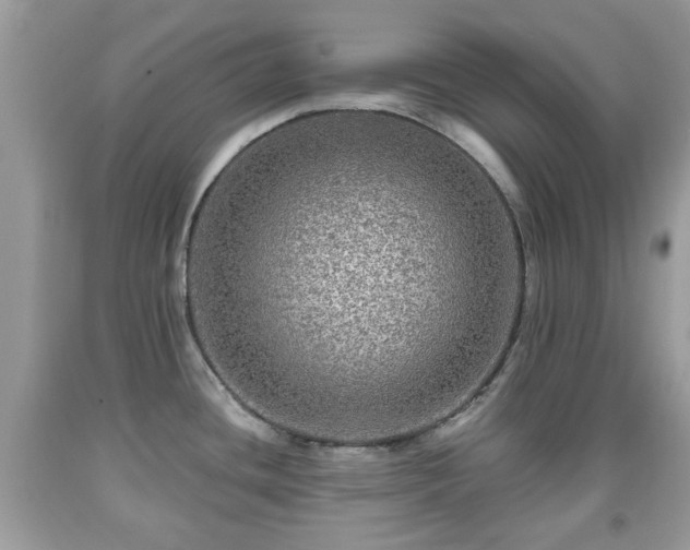 X0000091951436200709131154