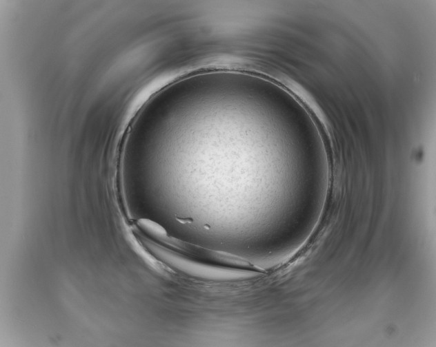 X0000091951437200709131154