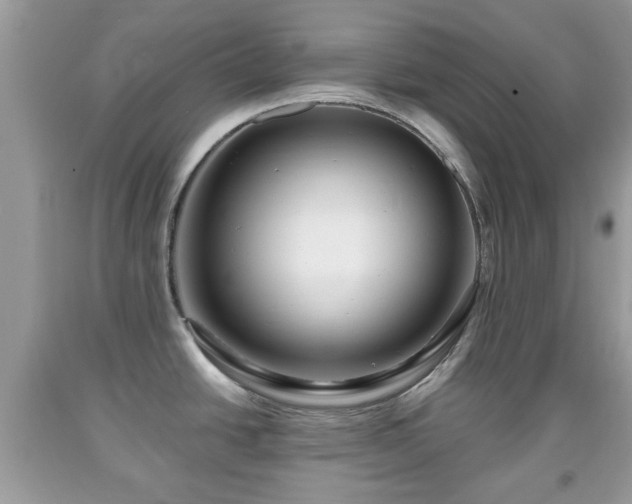 X0000091951438200709131154